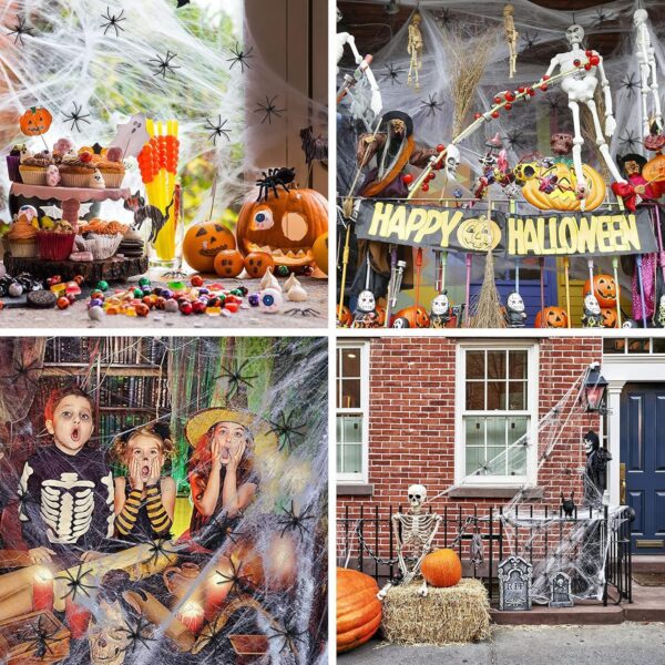Halloween Spider's web
